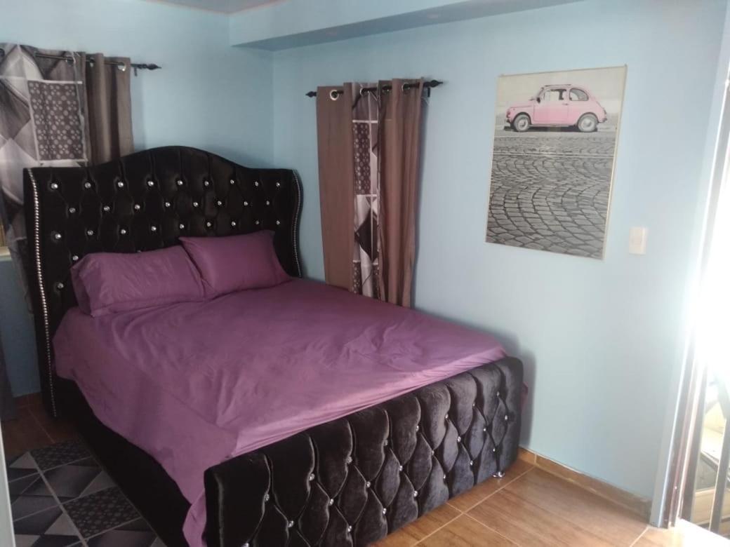Apartamento Paulino Santiago De Los Caballeros Exterior foto